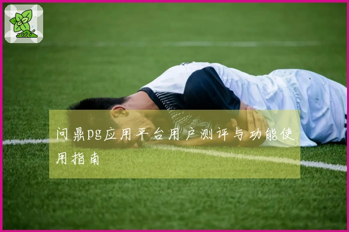 问鼎pg应用平台用户测评与功能使用指南
